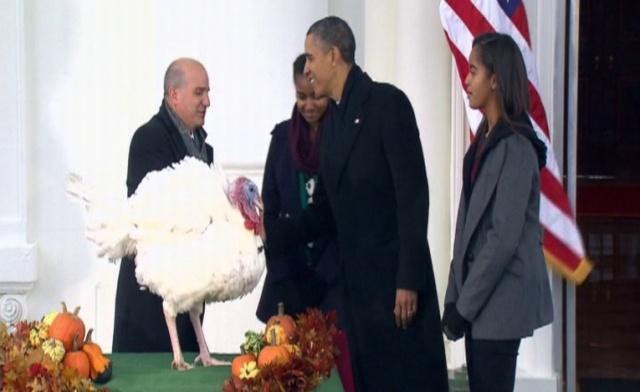 Zgodnie z tradycją, tuż przed Świętem Dziękczynienia, prezydent USA Barack Obama darował życie jednemu indykowi. Zaszczytu dostąpił ptak o imieniu Popcorn z Minnesoty - informuje Polska Agencja Prasowa.
