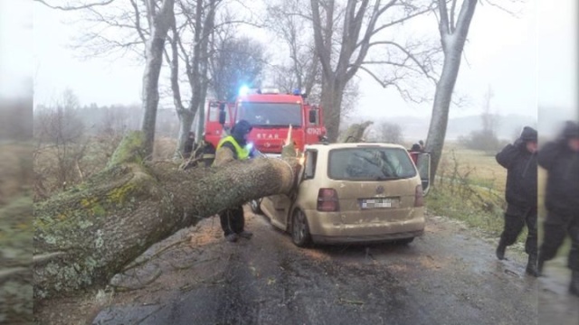 W województwie pomorskim trzy osoby zginęły, a jedna została ciężko ranna po tym, jak na samochód w powiecie lęborskim spadło drzewo. Ofiary to mężczyźni w średnim wieku.