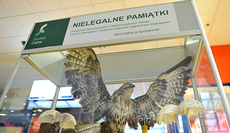 Jakie pamiątki można przywieźć z wakacji, żeby nie mieć kłopotów wyjaśnia Krajowa Administracja Skarbowa.