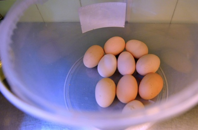 Trzy lata temu Polacy jedli po 200 jaj rocznie, w ubiegłym roku tylko 142 - pisze Puls Biznesu.