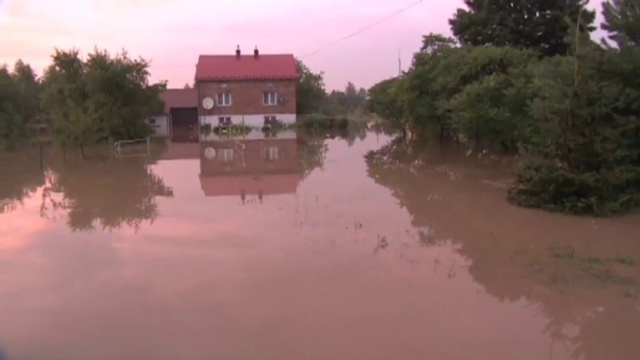 Pół tysiąca razy w ciągu ostatniej doby interweniowali strażacy na Podkarpaciu. Ulewne deszcze doprowadziły tam do podtopień.