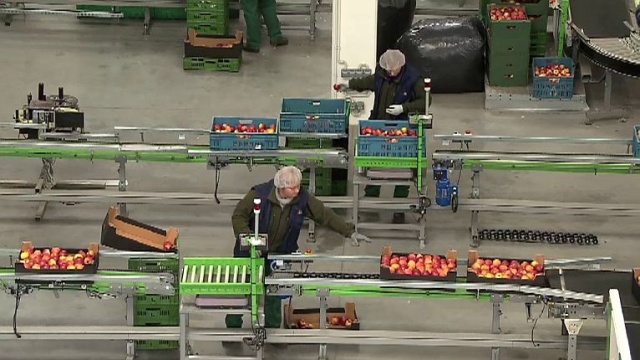 Mimo, że ostateczne decyzje Unii Europejskiej, co do środków na rekompensaty zapadną najprawdopodobniej 30 sierpnia, minister rolnictwa Marek Sawicki zapewnia, że Agencja Rynku Rolnego już przyjmuje wnioski w sprawie odszkodowań.