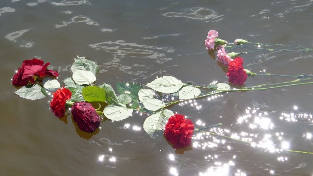 70. rocznica oswobodzenia obozu koncentracyjnego w Ravensbrück. Fot. Dariusz Michalski 70. rocznica oswobodzenia obozu koncentracyjnego w Ravensbrück