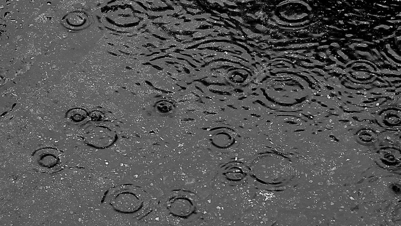 Przed opadami deszczu i burzami ostrzega Instytut Meteorologii i Gospodarki Wodnej. Alert dotyczy całego województwa zachodniopomorskiego.
