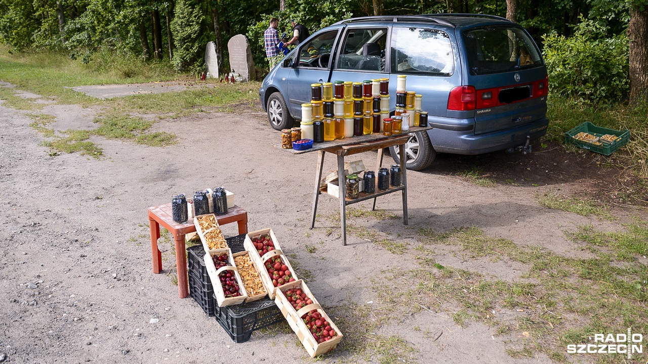 Jagody, maliny czy jeżyny... - las obfituje w wiele pysznych darów, a teraz jest najlepszy czas, by je zbierać.