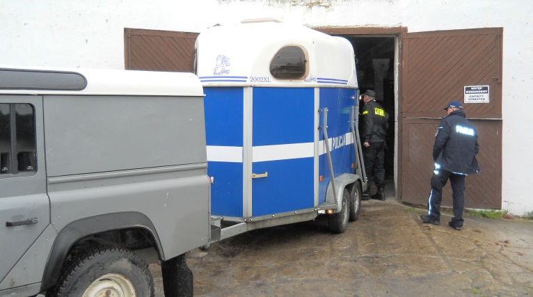 To odpowiedź na zapotrzebowanie rynku, ale też szansa na zdobycie ciekawego zawodu. Szczeciński Zespół Szkół Kształcenia Rolniczego w Szczecinie właśnie uruchomił kierunek - Technik Hodowca Koni, profil: policja konna.