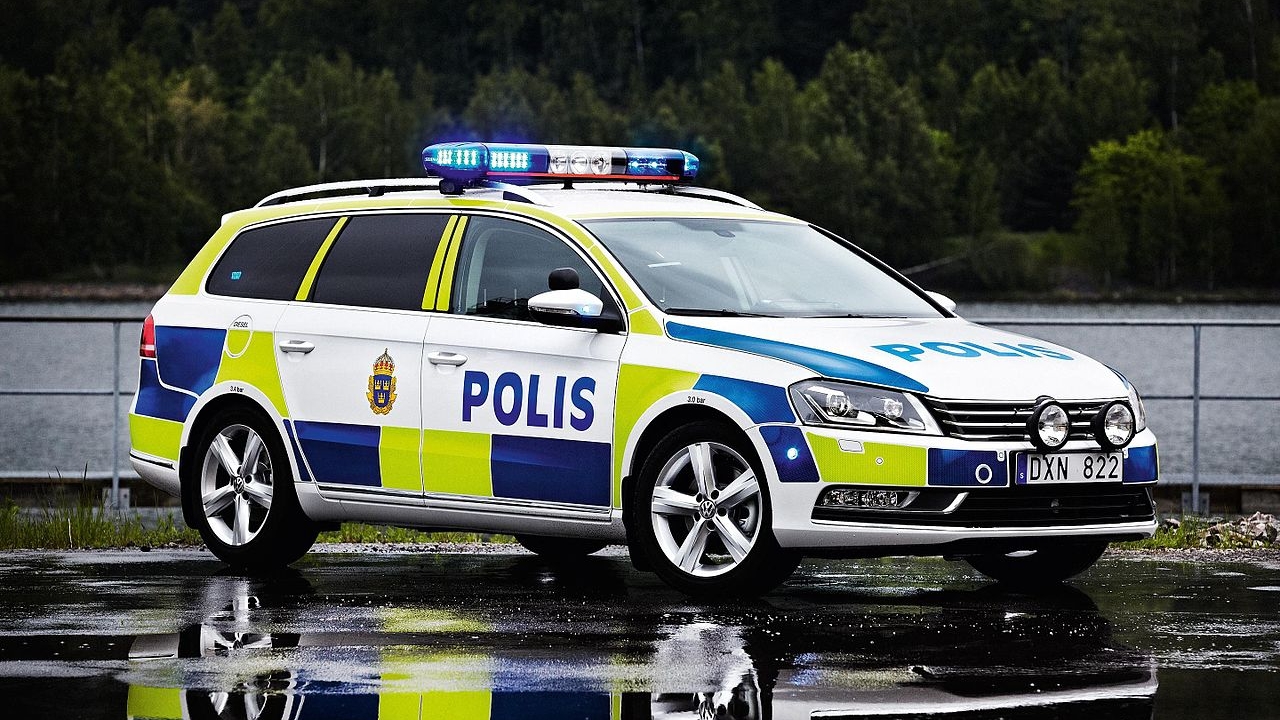 Pięciu szwedzkich neonazistów zatrzymała policja w Visby na Gotlandii. Mężczyźni są podejrzani o wzywanie do nienawiści rasowej oraz naruszenia nietykalności cielesnej.