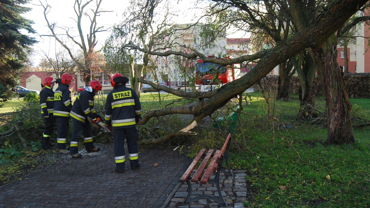 Instytut Meteorologii i Gospodarki Wodnej ostrzega przed silnym wiatrem w 15 województwach. Ostrzeżenia nie dotyczą jedynie województwa podlaskiego.