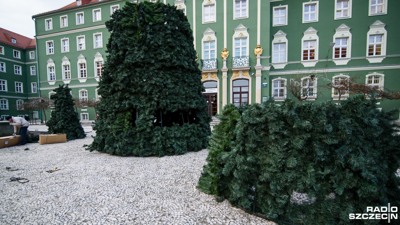 W Szczecinie trwa montaż sztucznego drzewka przed Urzędem Miejskim. Tysiące świątecznych światełek rozbłyśnie 6 grudnia.