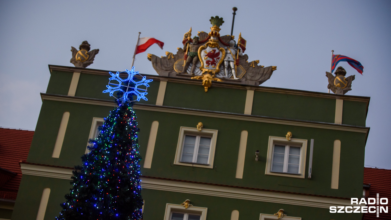 Choinka przed przed Urzędem Miejskim w Szczecinie gotowa. Około 16.00 rozbłyśnie na niej tysiące lampek, a także łańcuchy diodowe w kolorach: białym, czerwonym i niebieskim.