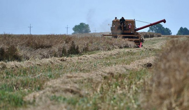 Agencja Nieruchomości Rolnych w Zachodniopomorskiem sprzedała w ubiegłym roku najwięcej ziemi w kraju. Pod młotek trafiło 21 tysięcy hektarów gruntów. Rolnicy z regionu twierdzą jednak, że ziemia wciąż trafia w ręce słupów, czyli osób podstawionych w przetargach przez zagraniczne firmy.