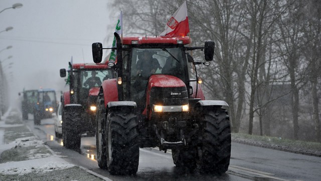 Około 30 ciągników wyjechało na główną ulicę Pyrzyc - 1 Maja. Policja zapewnia jednak, że starą krajową trójką między dwoma rondami w centrum miasta można przejechać w miarę swobodnie.