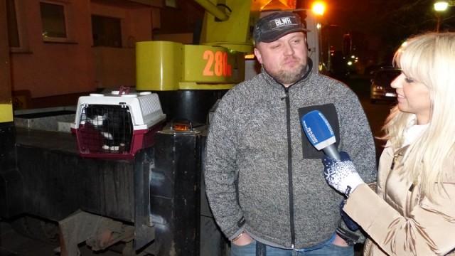W Radiu Szczecin usłyszał, że zwierzę trzeci dzień nie może zejść z topoli przy ulicy Przyjaciół Żołnierza, a straż pożarna nie potrafiła go zdjąć. Słuchacz natychmiast skontaktował się z naszą reporterką i ruszył na ratunek uwięzionemu kotu.