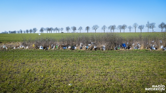 Tysiące foliowych worków zaśmiecają tereny wokół Zakładu Gospodarowania Odpadami w Słajsinie obok Nowogardu. Reklamówki ze składowiska porywa wiatr na pobliskie pola. Mieszkańcy skarżą się, że zakład zanieczyszcza środowisko.