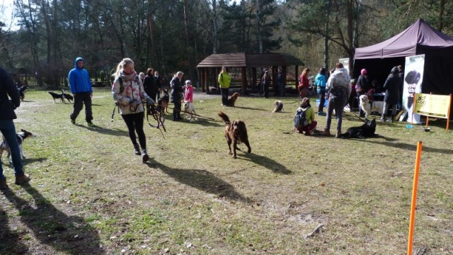 W niedzielę sezon biegowy rozpoczęła Szczecińska Liga Dogtrekkingu. To grupa osób, która regularnie biega ze swoimi psami.