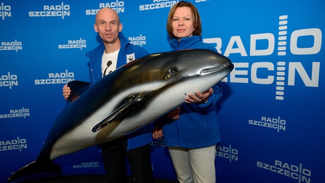 Działacze organizacji WWF w ramach akcji Godzina dla morświna odwiedzają w środę Szczecin. Mieszkańcom będą pokazywać półtorametrową, czyli naturalnej wielkości, plastikową figurę kuzyna delfina.
