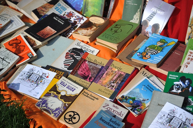 Koszmarny Karolek, Świnka Peppa, Harry Potter, Hobbit czy Dziennik Cwaniaczka - takie książki uczniowie z podstawówek w Szczecinie chcieliby wypożyczać ze szkolnych bibliotek.