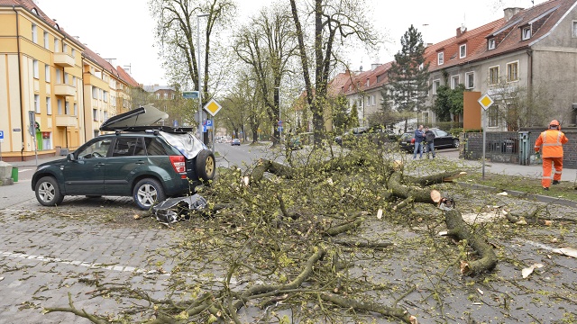 Silny wiatr spowodował wiele szkód w regionie. W Szczecinie zawalone drzewo zablokowało ulicę Mickiewicza, a na alei Piastów na połowie jezdni leżał zerwany baner.