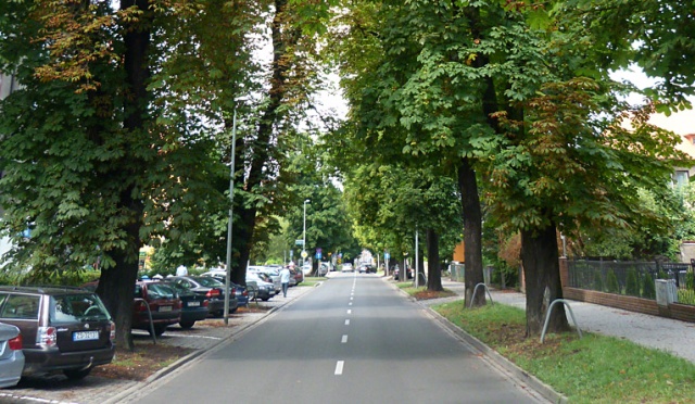 Pół tysiąca osób rocznie ginie na polskich drogach w wyniku zderzeń pojazdów z przydrożnymi drzewami. Inspektorzy Najwyższej Izby Kontroli uważają, że część z nich trzeba wyciąć.