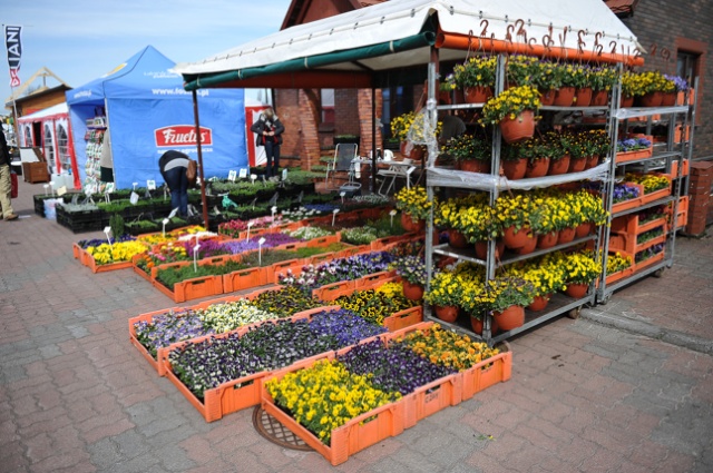 Jak stworzyć ogród marzeń oraz jakie są najnowsze florystyczne trendy Między innymi tego można się dowiedzieć na Targach Roślin i Architektury Krajobrazu Miasto Ogród, które w piątek rozpoczęły się w Szczecinie.