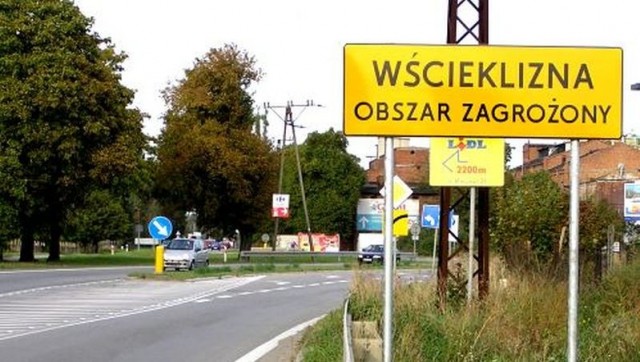 Wojewoda zachodniopomorski odwołuje alarm. We wtorek przestają obowiązywać obostrzenia związane z wyznaczeniem w Szczecinie i Starym Czarnowie obszarów zagrożonych wścieklizną - informuje w mailu centrum prasowe wojewody.