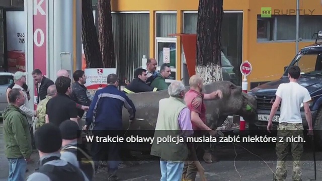 Rośnie bilans po powodzi w Gruzji - 15 osób nie żyje. Z powodu zniszczeń od ulewnego deszczu kilkadziesiąt osób straciło dach nad głową.