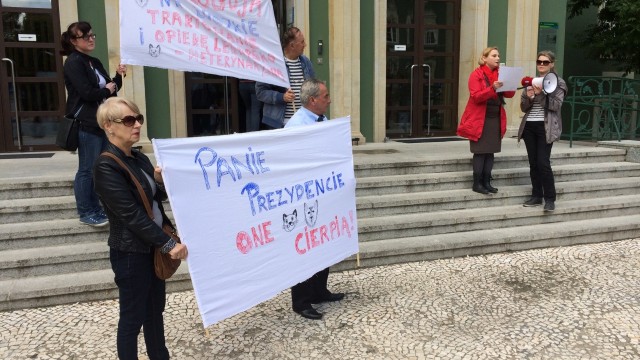 Pikieta przed magistratem - obrońcy czworonogów kontra urząd, czyli ciąg dalszy kontrowersji wokół szczecińskiego schroniska dla zwierząt. Protestujący zarzucają, że zmiany - odejście kierowniczki placówki i dymisja szefa Zakładu Usług Komunalnych - to tylko ruchy pozorne.