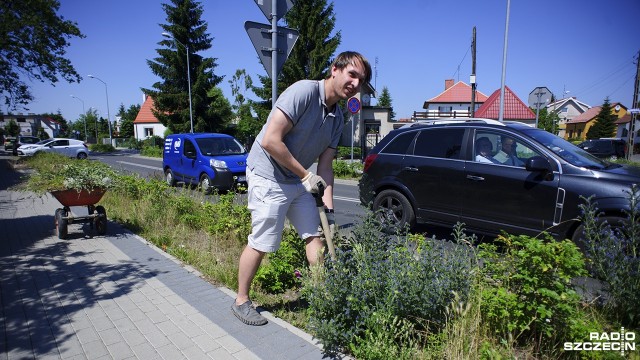 Radny nie musi już wyrywać miejskich chwastów. Zarośnięte metrowymi chaszczami zieleńce przy ulicy Spiskiej w Szczecinie będą plewić pracownicy Zakładu Usług Komunalnych. To efekt happeningu Michała Wilkockiego z Gumieniec, który nagłośniło Radio Szczecin.