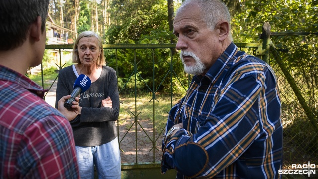Dziki terroryzują mieszkańców szczecińskiego Wielgowa. Atakują ludzi, ryją po śmieciach oraz niszczą trawniki i pola. Zagryzły też małego psa.