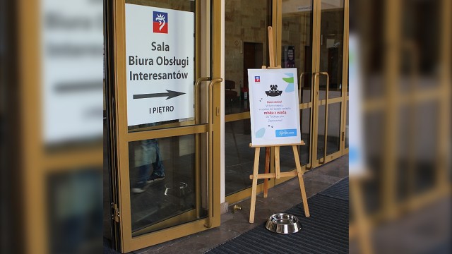 Miski z wodą dla psów wystawiają szczecińscy urzędnicy.