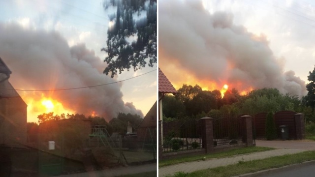 Płonie zboże w miejscowości Sokoliniec w gminie Recz. Ogień pojawił się o godzinie 19:30 i objął 50 ha pola.