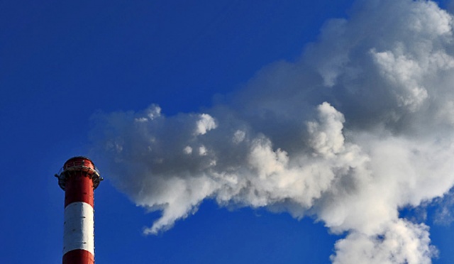 Zarząd Polskich Sieci Elektroenergetycznych chce, aby Elektrownia Dolna Odra działała nadal - mówił we wtorek w Radio Szczecin na wieczór prezes Henryk Majchrzak.