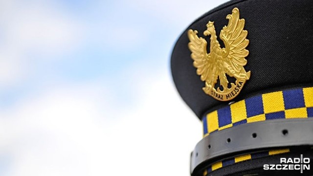 Oddał górę śmieci kierowcy TIR-a wierząc, że ten zawiezie je na wysypisko. Tak tłumaczył się mieszkaniec Szczecina, którego śmieci znaleźli pod Mierzynem strażnicy z Dobrej Szczecińskiej.