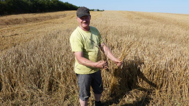 W siedmiu zachodniopomorskich gminach pracują komisje szacujące szkody, a gospodarze skarżą się, że jest ich za mało.