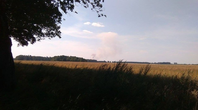 Osiem hektarów ścierniska spłonęło w lesie w Osowie, pomiędzy Łobzem a Nowogardem.
