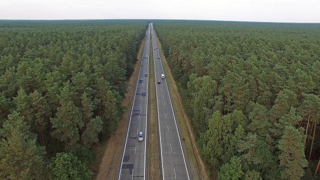 To był spokojny dzień na drogach - od rana obyło się bez wypadków, mimo wzmożonego ruchu zwłaszcza na nadmorskich trasach.