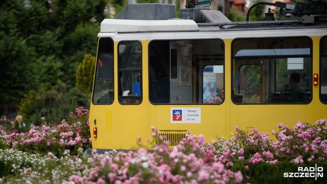 Zagranie pod publiczkę czy troska o mieszkańców Radni krytykują pomysł działaczy Ruchu Narodowego, aby wszystkie dzieci do 13 roku życia jeździły komunikacją miejską w Szczecinie za darmo.