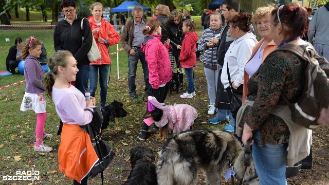 Konkursy na psiego mistera oraz miss, warsztaty tresury, a także porady weterynarzy i zoologów - tak przebiegał Piknik z Psem, który w sobotę odbył się w parku miejskim w Gryfinie.