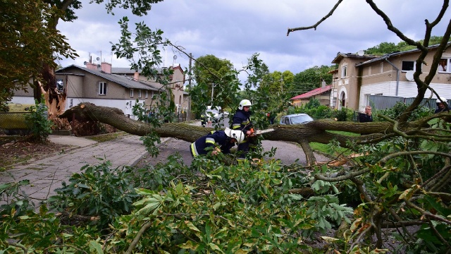 Powalone przez silny wiatr drzewo zatarasowało linię kolejową na odcinku między Łobzem a Runowem Pomorskim. Do zdarzenia doszło w niedzielę wieczorem. Kolejarze wprowadzili na tej trasie autobusową komunikację zastępczą dla pasażerów pociągów regionalnych.
