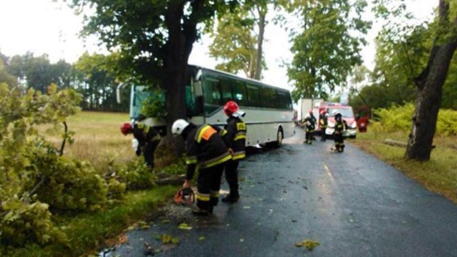 Autobus przewożący dzieci miał wypadek w Gostyniu pod Kamieniem Pomorskim. Dwójka uczniów i kierowca po opatrzeniu stłuczeń i otarć mogła wrócić do domu i nie musiała jechać do szpitala.