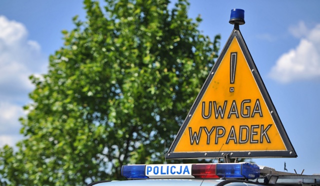 Młody mężczyzna trafił do szpitala, po tym jak przewróciło się na niego drzewo. Do wypadku doszło w okolicy Goleniowa.