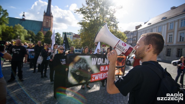 Kilkudziesięciu szczecinian protestowało przeciwko złemu traktowaniu zwierząt. Przy okazji namawiali mieszkańców do przejścia na weganizm.