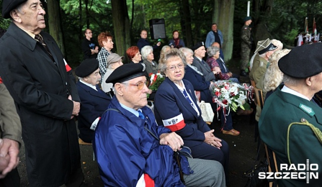Bataliony Chłopskie były konspiracyjnym wojskiem ludowym, które podczas II wojny światowej walczyło z niemieckim okupantem.