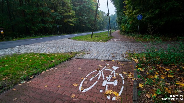 Znak drogowy pokazuje ścieżkę pieszo-rowerową, znaki poziome wymalowane są tak, jakby trasa była tylko dla rowerzystów. Ścieżka przy ulicy Zegadłowicza w Szczecinie to kolejny przypadek pomyłki w oznakowaniu na szczecińskich trasach spacerowych.
