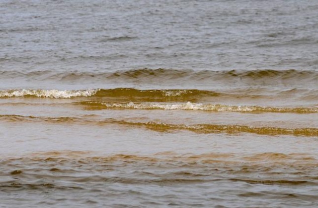 Będzie wydobywał minerały z dna morza z głębokości 1600 metrów. Jedyny taki statek na świecie zaprojektowało szczecińskie biuro Marine Design. Jednostka jest budowana w Chinach. Za dwa lata ma rozpocząć pracę na Morzu Bismarcka.