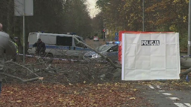 Ponad 800 interwencji strażaków w całym kraju - to dotychczasowy bilans usuwania skutków nocnych wichur.