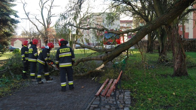 Z powodu wichury, która w środę przechodzi nad województwem zachodniopomorskim, strażacy interweniowali już 170 razy.