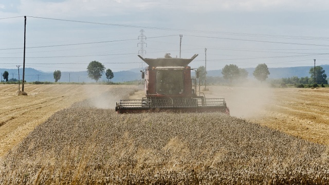 Zachodniopomorscy rolnicy niezbyt zainteresowani dofinansowaniem z Unii. Wniosków na modernizację gospodarstw rolnych w ramach rozdania na lata 2014-2020 napłynęło mniej niż spodziewała się Agencja Restrukturyzacji i Modernizacji Rolnictwa.