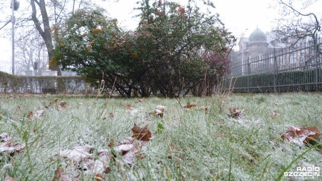 Temperatura w regionie oscylować będzie w granicach 3-7 stopni Celsjusza.