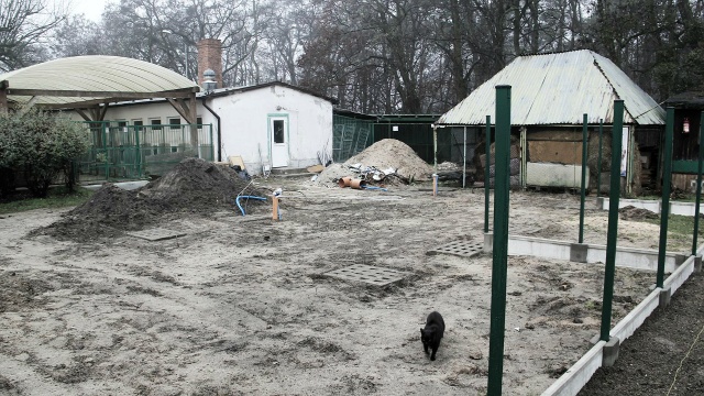 W najbliższych dniach przywiezione będą specjalne, gotowe budynki, w których zamieszkają zwierzaki.